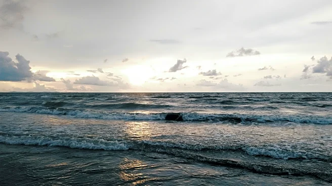 Storm Warning: Florida Gears Up for Caribbean Threat