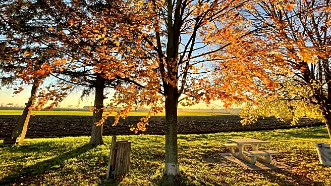 2025 Leaf Guide: Best Bay Area Views For Autumn Colors