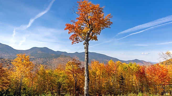Northeast Faces Gusty Winds and Rain—Fall Foliage at Risk