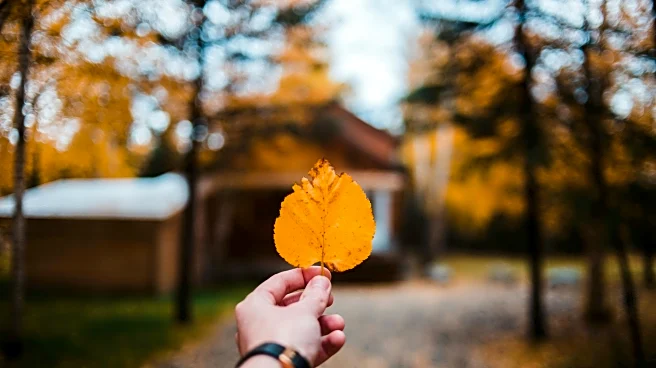 Discover the Best US Spots to See Spectacular Fall Foliage