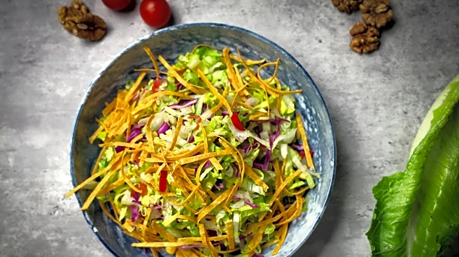 Easy and Delicious Cabbage Recipes You Must Try This Fall