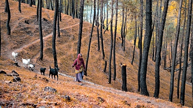 Stunning State Parks Perfect for Autumn Family Adventures