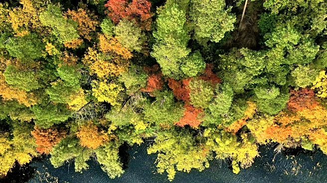 Travel Hacks for Your Leaf-Peeping Fall Vacation Adventure