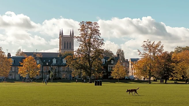 U.S. College Campuses That Are Stunning This November