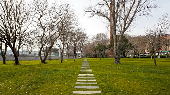 Should You Cut Your Grass Short Before Winter? Expert Advice