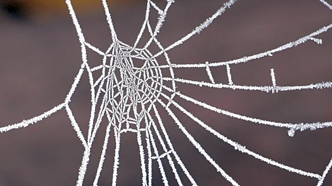 Trick-Or-Treaters In Mid-Atlantic Get Warm, Breezy Skies