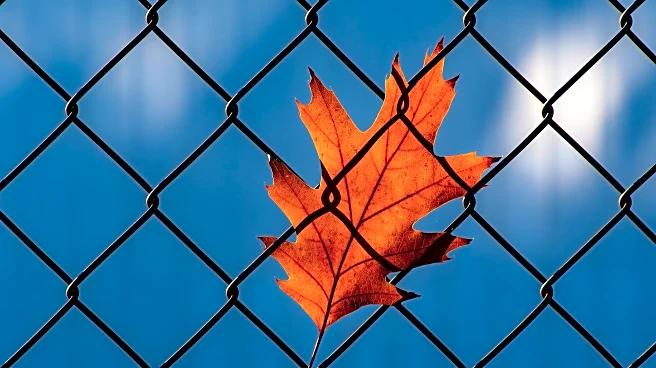 When the Wind Whispers—How Autumn Sounds Shape Our Mood