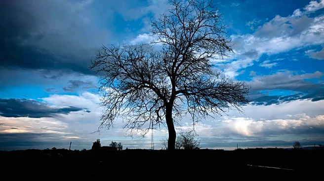 Why We Miss the Sun But Love the Gloom