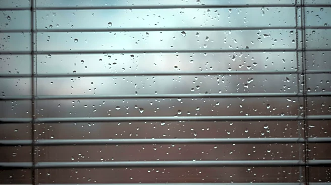 How Overcast Days Inspire Creative Breakthroughs