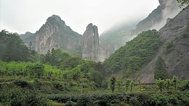 Why Mountain Air Smells Different After Rainfall