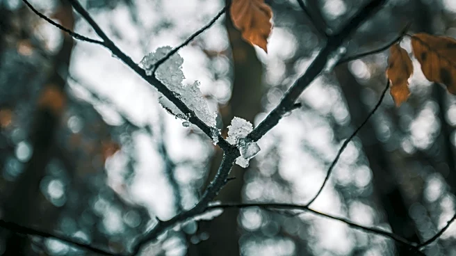 States Enjoy Extra Warmth as Fall Freeze Holds Off