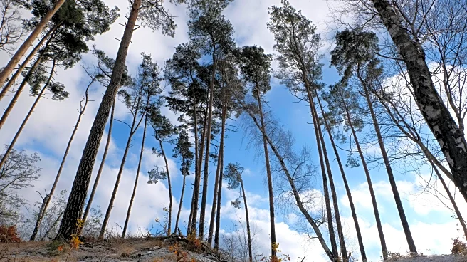 Seasonal Affective Disorder: Weather’s Hidden Impact