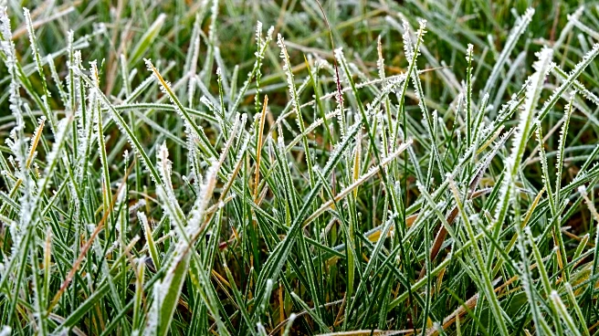 Farmers’ Almanac Outlook: Early Winter Predictions