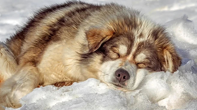 How Changing Weather Impacts Your Sleep Cycle