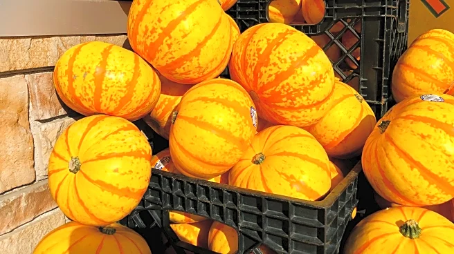 Thanksgiving Leftovers: Food Safety And Storage Tips