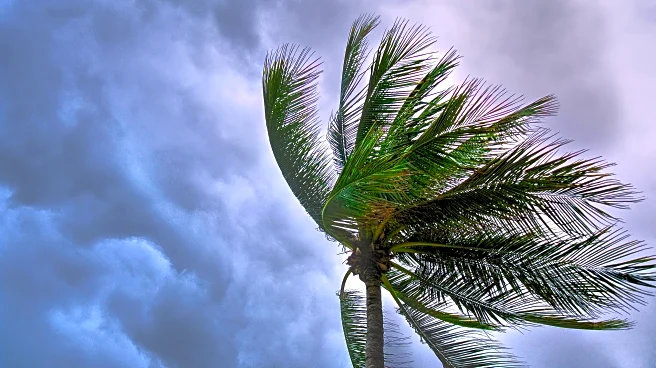 Melissa Could Turn Hurricane — Florida Feeling The Breeze