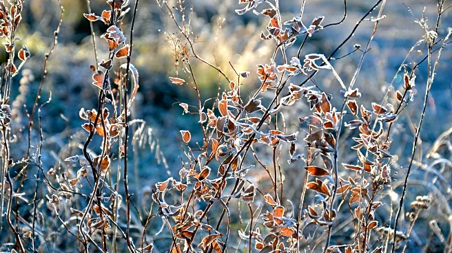 Northern Plains Experience Well Above Average Temperatures