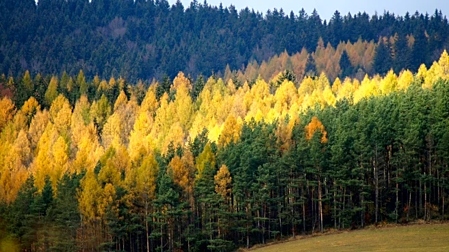 Oct. 24 Weekend: Where To See Peak Fall Foliage Colors