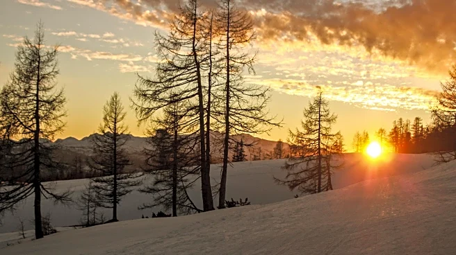 Thanksgiving Forecasts: What Every State Can Expect This Year