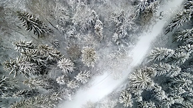 Pacific Northwest Braces For Rain, Snow, Gusty Winds