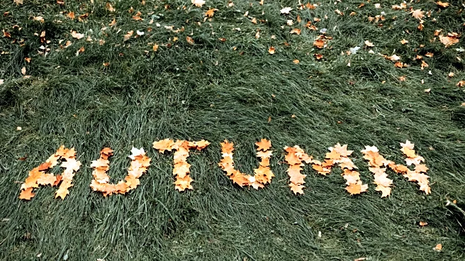 The Smart Lawn-Care Secret Every Homeowner Should Know Before Fall Ends