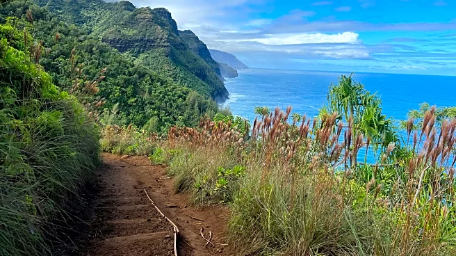 Hawaii Sees Spike In Rescues Along Its Most Dangerous Trail