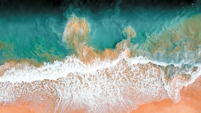 Tourists Warned: Hawaii Shorebreak Wave Poses Deadly Danger