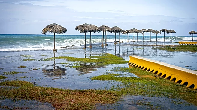 Popular Vacation Spot In Melissa’s Path As Travel Warning Issued