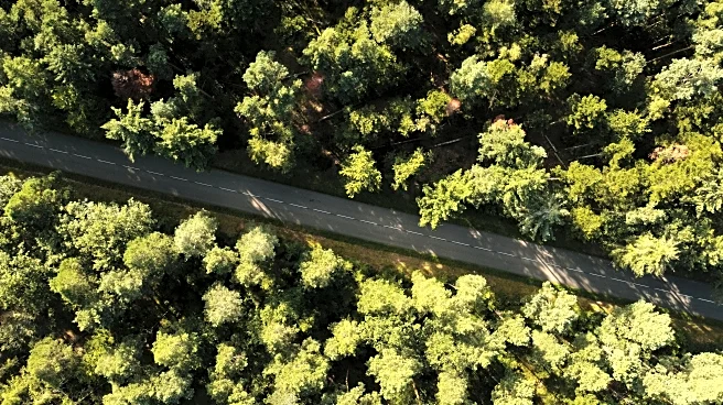 Fall Road Trip Ideas for Leaf Peepers and Weekend Wanderers