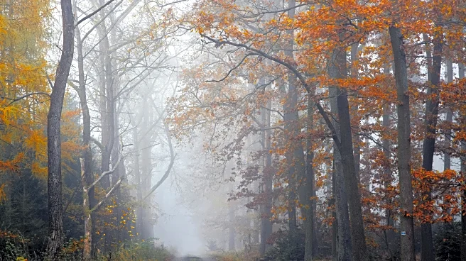 Fall Hiking Weather: Where Trails Shine in Late October