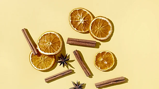 The Best Fall Scents to Bring the Outdoors Inside