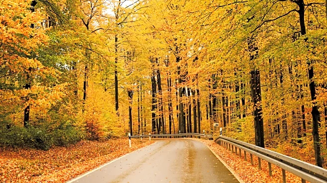 Late-Fall Road Hazards: Wet Leaves and Black Ice Ahead