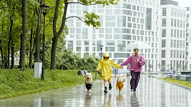 Rainy Forecast? Here’s How to Make the Most of a Gloomy Day