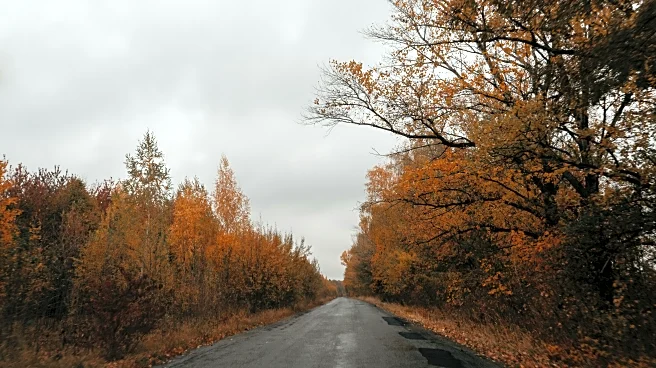 Slow Down! Why Fall Roads Can Be Tricky After Dark