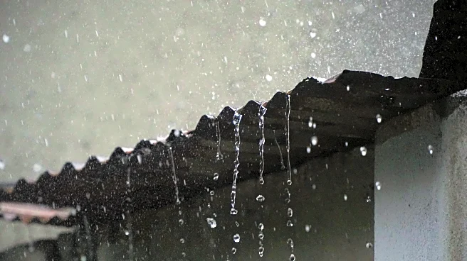 Vietnam’s Ancient Sites Go Underwater After Record Rainfall