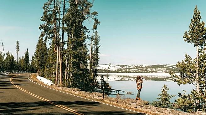 Yellowstone Roads Shut Down After Dozens of Weather Crashes