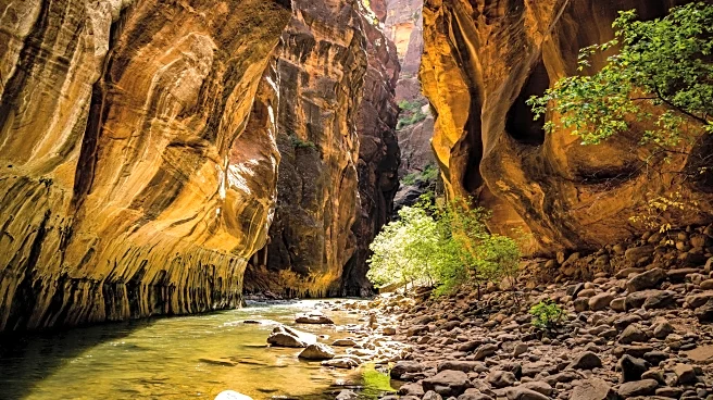 Popular Zion Canyon Claims Life of Man Exploring Its Trails