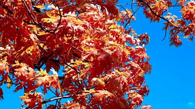 Wrapping Up October: Here’s the Weather Outlook for the Week