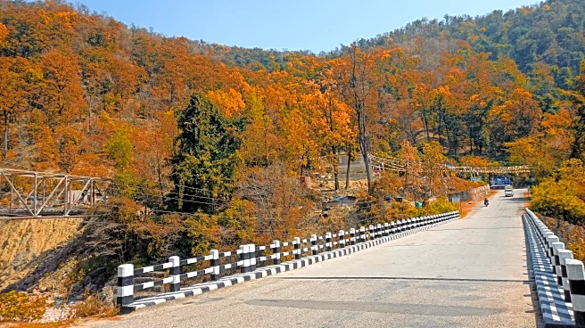 Chasing the Colors: Road Trips to See America’s Best Fall Foliage