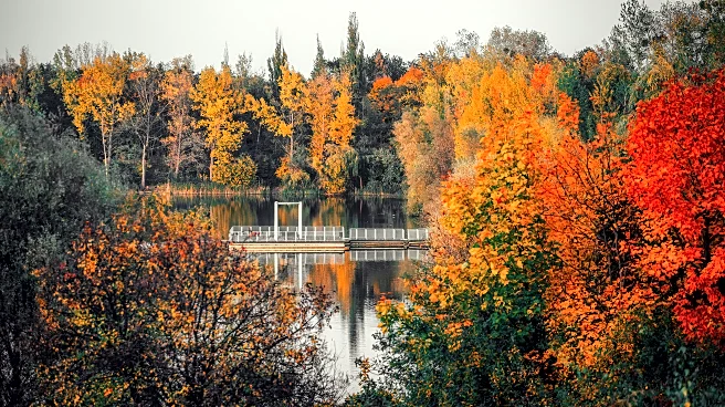 Where to See Fall Color in November: 16 Jaw-Dropping Leaf-Peeping Spots