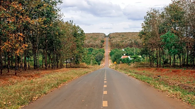 Scenic Fall Drives That Might Outshine Even the Iconic Blue Ridge Parkway