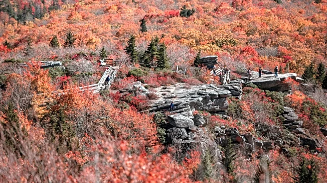 Ten Things You Shouldn’t Ignore While Exploring the Appalachian Mountains