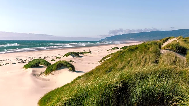 Oregon Coast Towns That Locals Say Have Lost Their Peaceful Charm