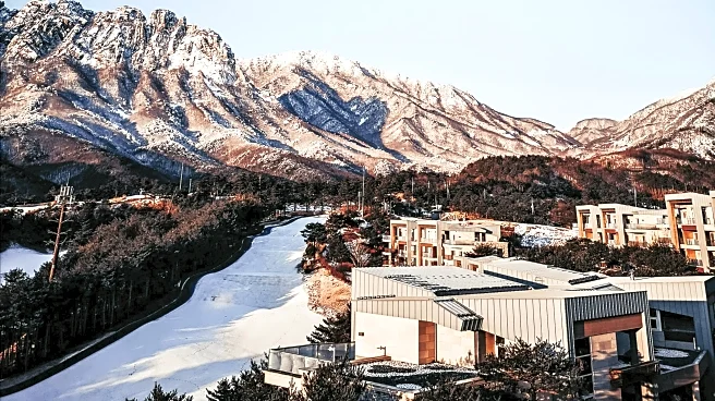 From Ashes to Adventure: Tamarack Creates New Trails After Fire