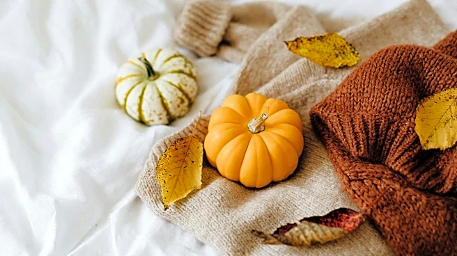 Pumpkin Carving Weather Tips: Keep Them Fresh Through Halloween