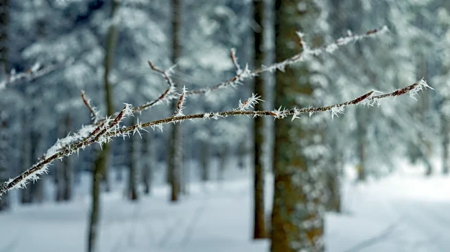 Why Halloween Feels Different When Temperatures Suddenly Drop
