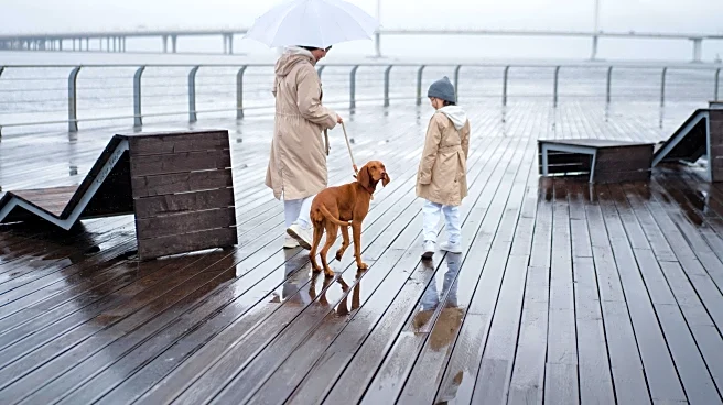 Pet Safety Tips for Halloween Walks in Windy or Wet Weather