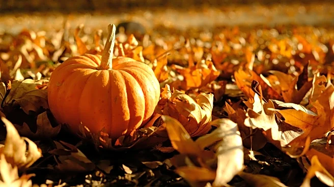 Why Some of the Best Halloween Memories Happen in Bad Weather