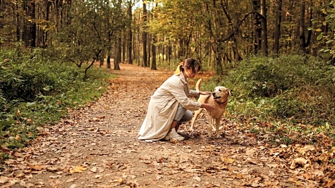 Candy Dangers Every Pet Owner Should Watch for Tonight