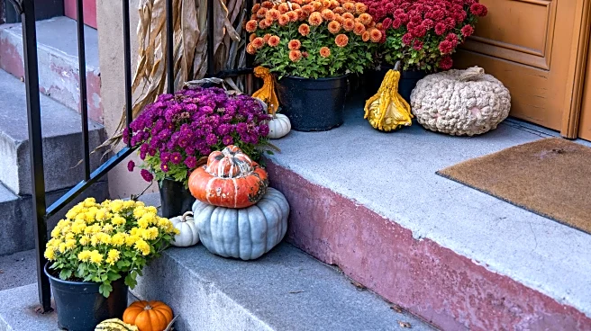Eco-Friendly Ways to Dispose of Halloween Décor Responsibly